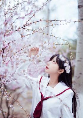 粤语电视剧_高清动漫免费观看